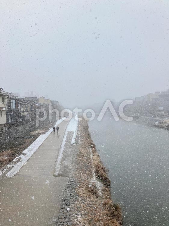雪の鴨川 鴨川,雪の鴨川,京都の冬の写真素材