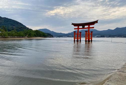 広島 宮島 嚴島神社 満潮 曇り 厳島神社,宮島,広島の写真素材