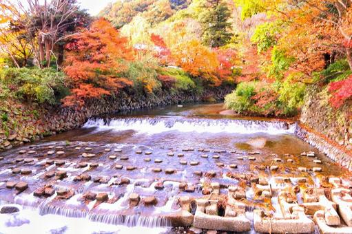 紅葉狩りの写真