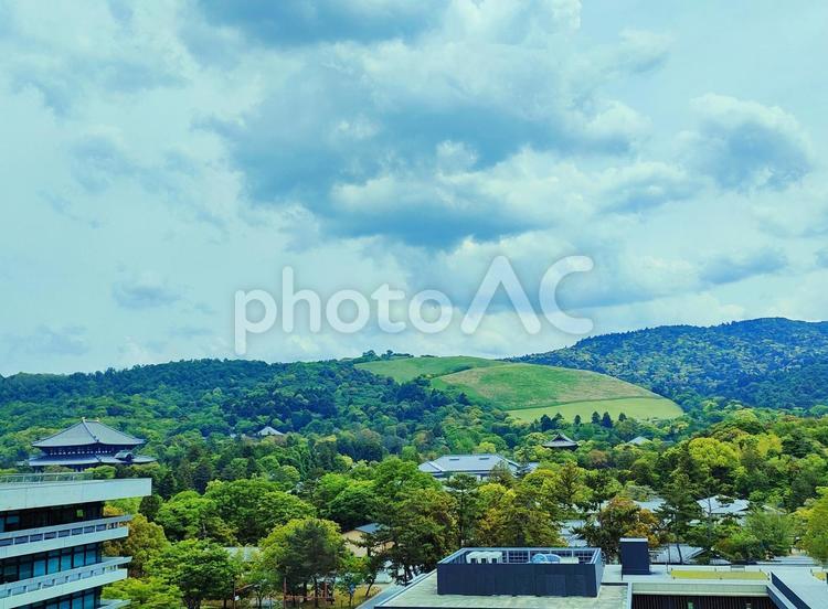 奈良県庁舎屋上から見る景色 若草山,東大寺大仏殿,県庁屋上庭園の写真素材