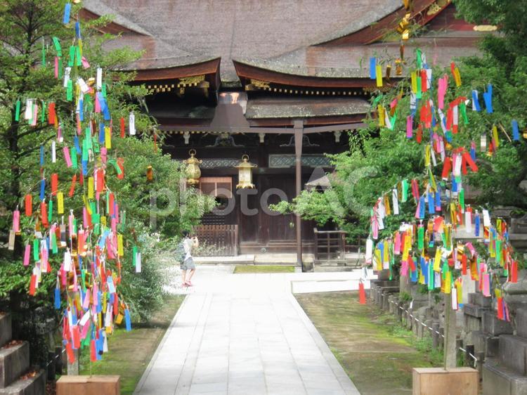 天神さんの七夕　その九 天神さん,北野天神,北野天満宮の写真素材