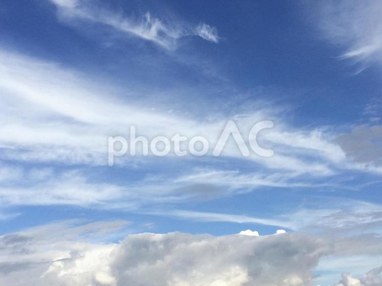 さわやかな夏空と雲 空,青空,雲の写真素材