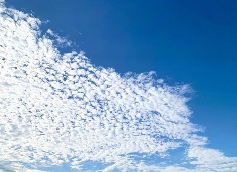 青空にひつじ雲1 ひつじ雲,高積雲,青空の写真素材
