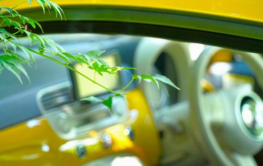 木陰のイタ車と青もみじ③ 木陰のイタ車と青もみじ③の写真