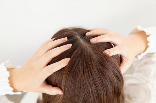 女性の頭皮の悩み01 女性,悩み,頭皮の写真素材