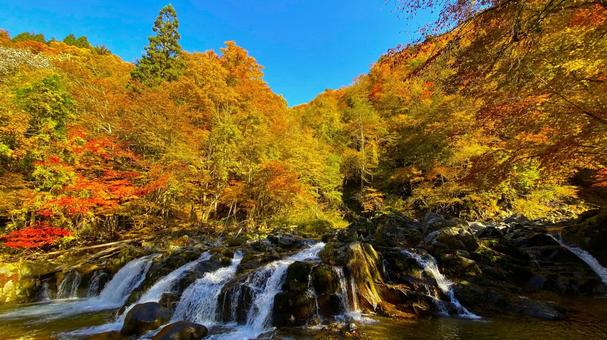 紅葉のせせらぎ街道 平滝:1 紅葉のせせらぎ街道 平滝:1 紅葉,せせらぎ街道,秋の写真素材