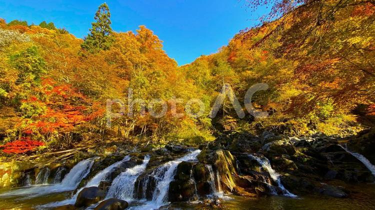 紅葉のせせらぎ街道　平滝：１ 紅葉,せせらぎ街道,秋の写真素材
