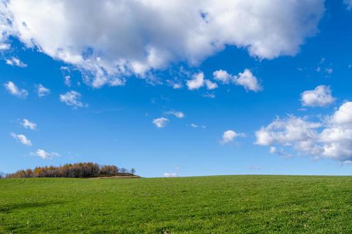 丘に浮かぶ秋の雲と緑の写真
