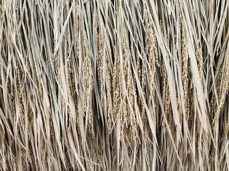 藁テクスチャーの写真