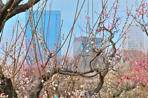 春の風景の写真