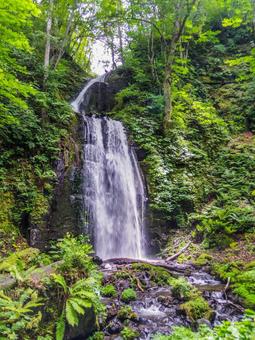 【青森県】奥入瀬渓流・雲井の滝 【青森県】奥入瀬渓流・雲井の滝の写真