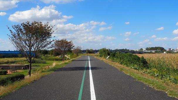 秋の手賀沼・湖畔の散歩道(千葉県・柏市) 秋の手賀沼・湖畔の散歩道(千葉県・柏市) 秋,手賀沼,湖畔の写真素材