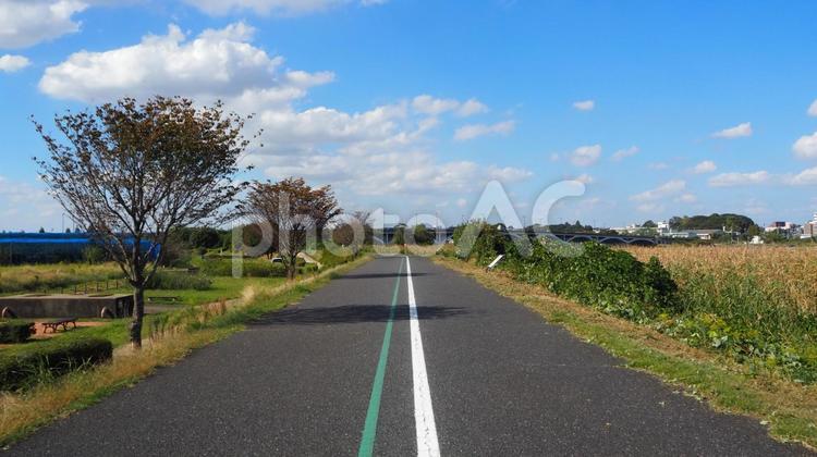 秋の手賀沼・湖畔の散歩道（千葉県・柏市） 秋,手賀沼,湖畔の写真素材