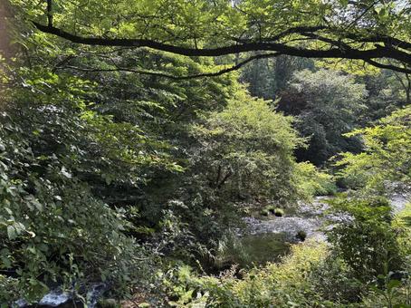 長野県軽井沢町 湯川-2 長野県軽井沢町 湯川-2 長野県,長野,信州の写真素材