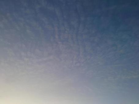 朝の空とうろこ雲 朝の空とうろこ雲の写真