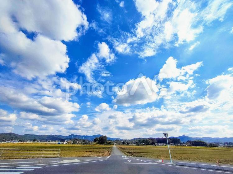 どこまでも続くよう道路　栃木県益子町　 道,風景,栃木県の写真素材