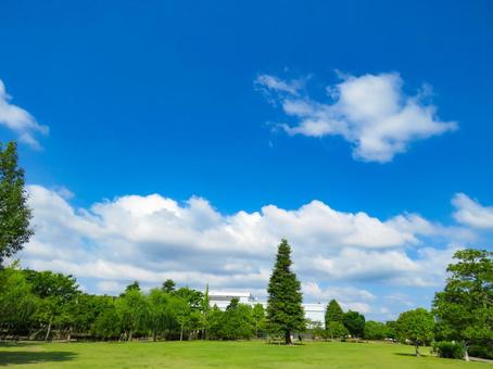 夏イメージ〜芝生の広場がある夏の公園 夏イメージ〜芝生の広場がある夏の公園の写真