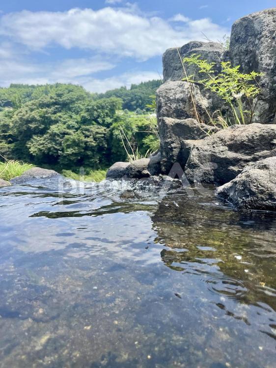 水の流れと自然　風景素材 自然,川,風景の写真素材