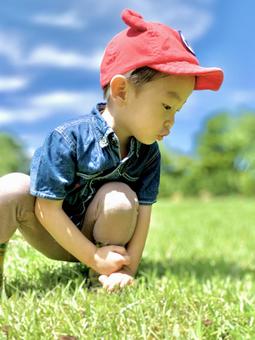 芝生で遊ぶ子ども 子ども,散歩,屋外の写真素材