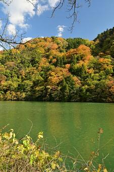 庄川・水記念公園の紅葉 紅葉,青空,観光地の写真素材