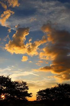 夕焼けに照らされる千切れ雲 夕焼けに照らされる千切れ雲 雲,夕焼け,夕陽の写真素材