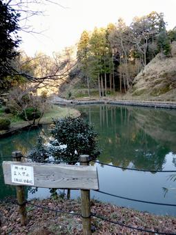 鎌倉、建長寺の奥・回春院近くのため池 鎌倉、建長寺の奥・回春院近くのため池 池,ため池,水辺の写真素材