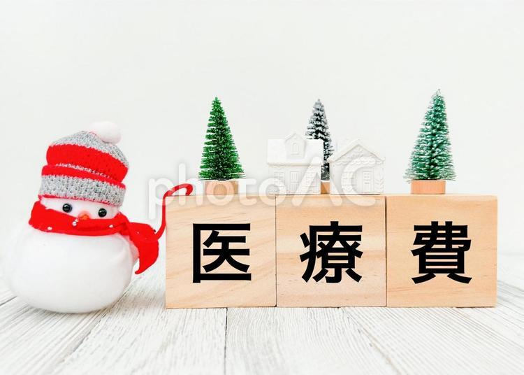 医療費の文字素材 医療費,医療費控除,年末調整の写真素材