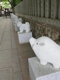 保久良神社の十二支の狛犬 狛犬,保久良神社,神戸市の写真素材