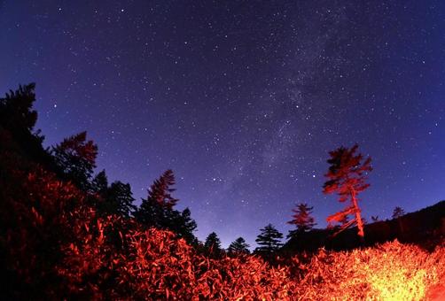 夏の夜の満天の星空 天の川 夏の夜の満天の星空 天の川の写真