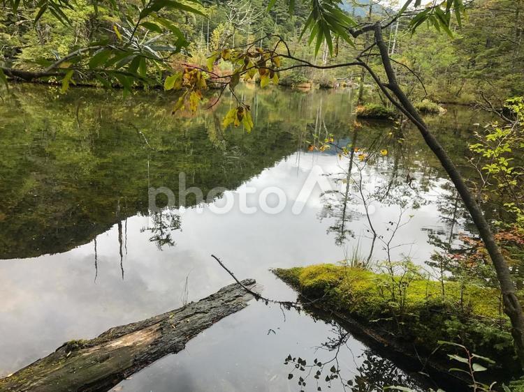 初秋の明神池 上高地,明神池,初秋の写真素材