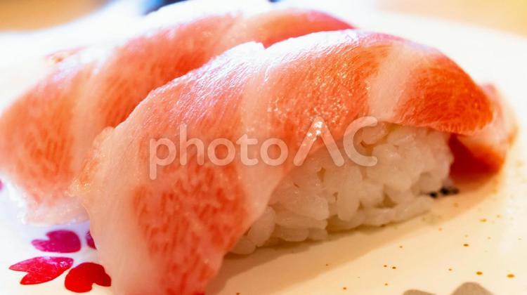 大トロのにぎり寿司 大トロ,握り寿司,寿司の写真素材
