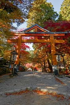 滋賀・大津市 日吉大社 山王鳥居 日吉大社,山王鳥居,鳥居の写真素材