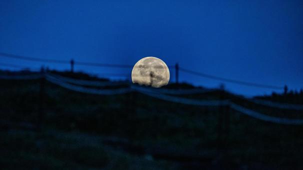 明け方の月 明け方の月の写真