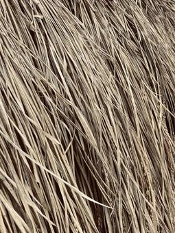 藁テクスチャーの写真