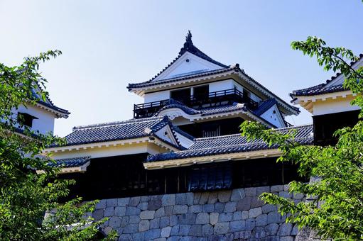 松山城 松山城,松山観光,石垣の写真素材