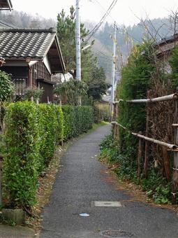 生垣の小径 生垣の小径の写真