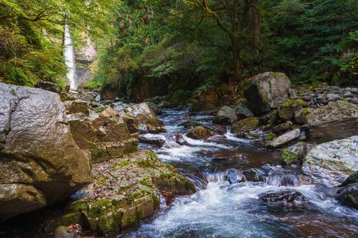 根尾の滝 秋( 飛騨小坂) 根尾の滝 秋( 飛騨小坂) 根尾の滝,渓流,渓谷の写真素材