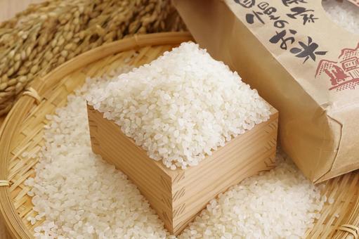 日本の主食のお米 米,白米,新米の写真素材