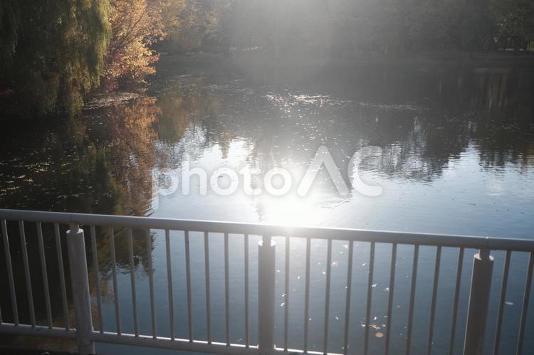朝の公園　秋のイメージ　札幌 公園,札幌,北海道の写真素材