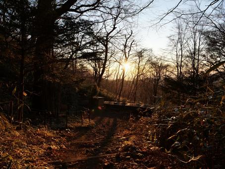 朝焼けの登山道 朝焼けの登山道の写真