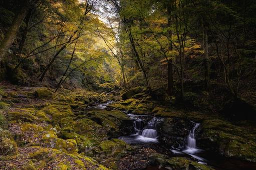 三重-【赤目四十八滝（紅葉）】の写真
