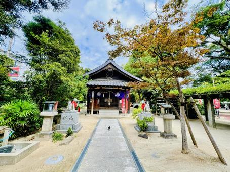 宇賀神社 宇賀神社 宇賀神社,黒田稲荷,神社の写真素材