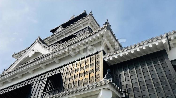 熊本城を見上げて3 熊本城,石垣,熊本の写真素材