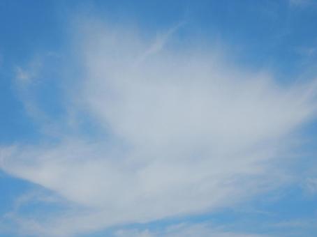 【風景写真】夏空 【風景写真】夏空の写真