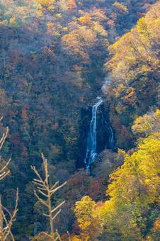 蔵王の紅葉(34)の写真