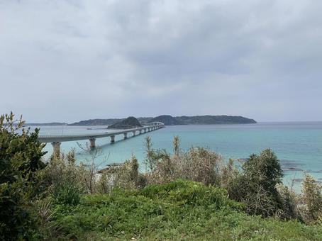 西の海①の写真