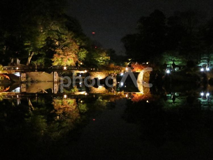 玄宮園（彦根） 夜景,紅葉,ライトアップの写真素材