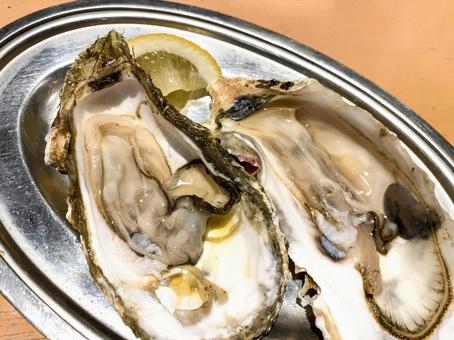 生ガキ 生牡蠣,海鮮,瀬戸内料理の写真素材