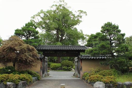 彦三緑地 彦三緑地 金沢,彦三,緑地の写真素材