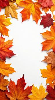 紅葉のフレーム 秋イメージ 紅葉のフレーム 秋イメージの写真